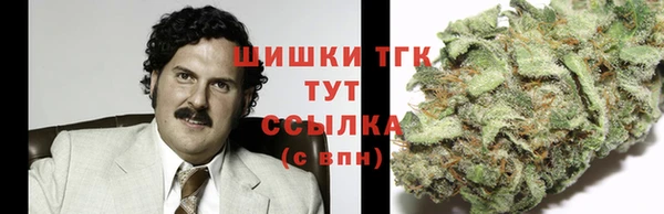 прущие грибы Михайловка