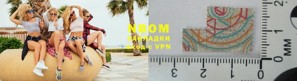 прущие грибы Михайловка