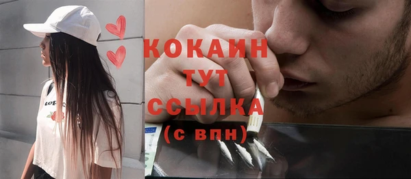 прущие грибы Михайловка