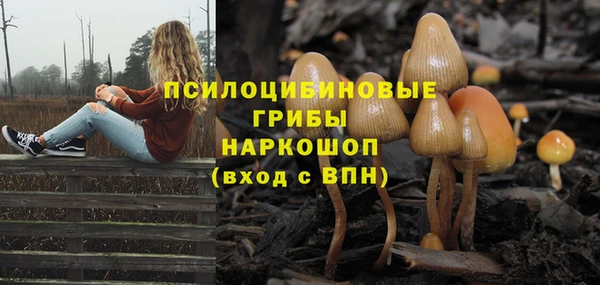 бутират Медвежьегорск
