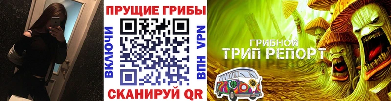 блэк спрут как войти  Красный Холм  Галлюциногенные грибы ЛСД  наркотики 